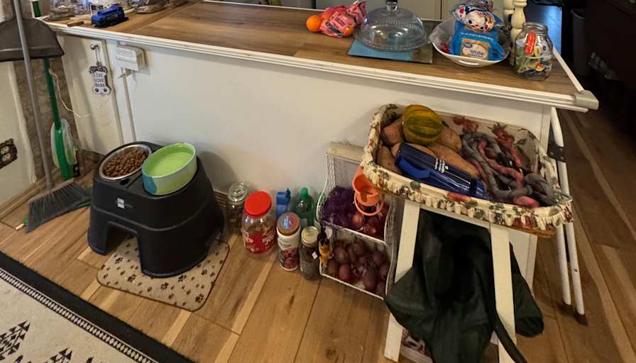 Mary's room