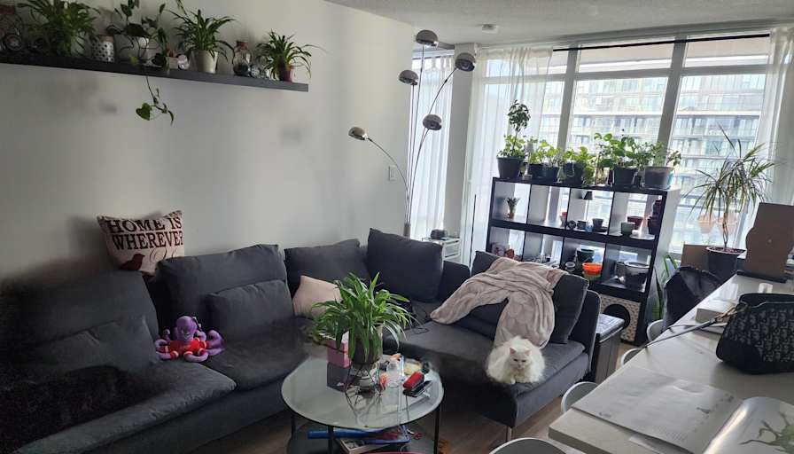 Angie's room