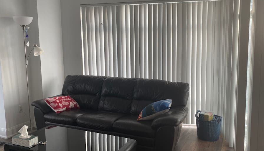Zapetera's room