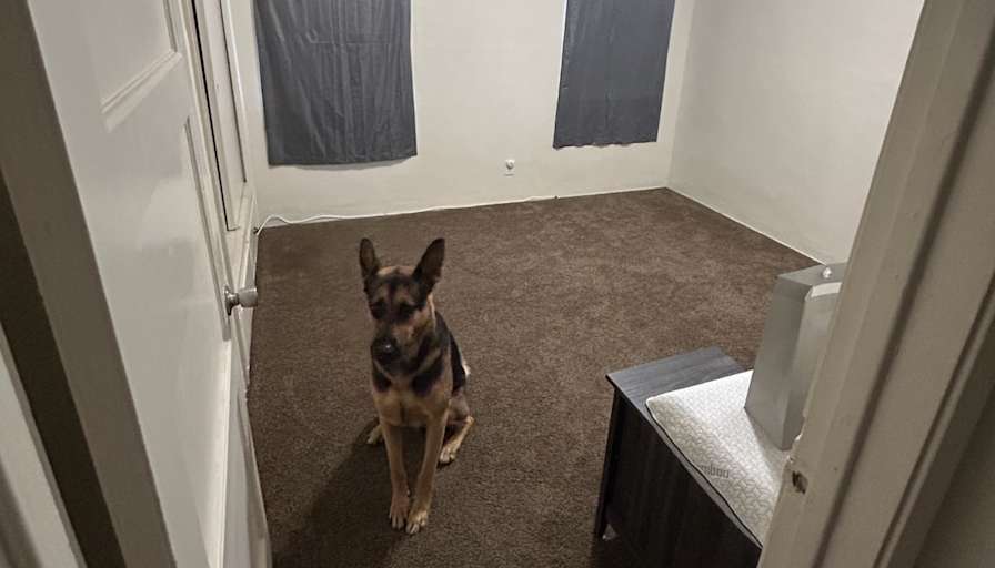 Arcadio's room