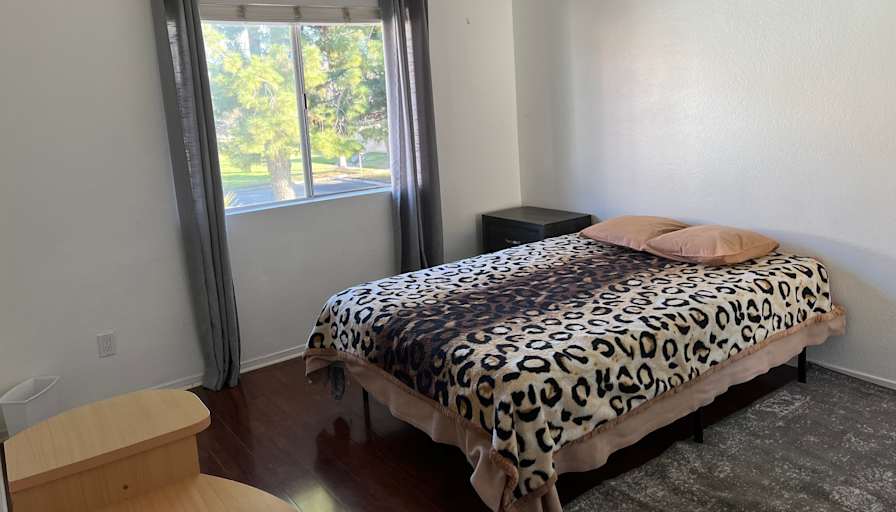 Lucy's room