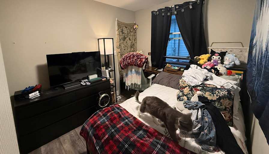 Stu's room