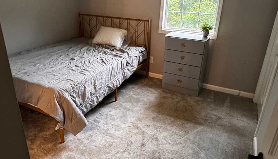 Halle's room