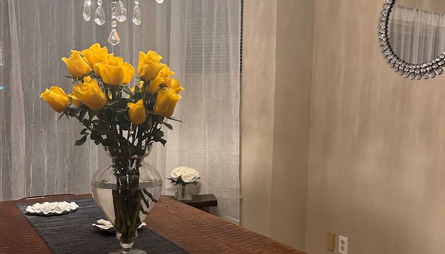 Stacie Eiras's room