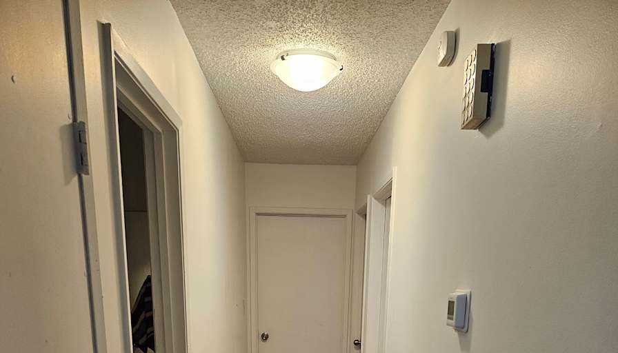 Qi's room