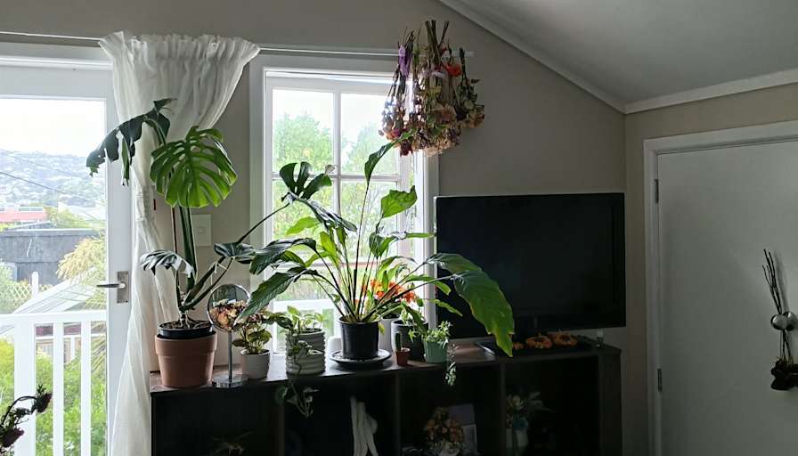 Unfurnished room in a house · Kilbirnie, Wellington 6022-1