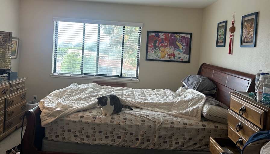 Cassidy's room