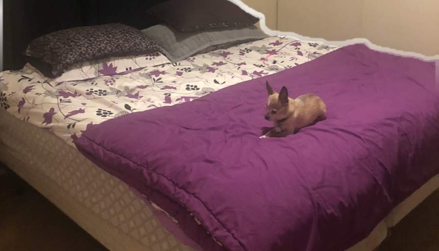 RONICA's room