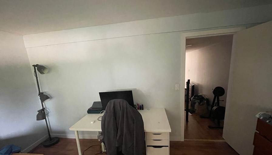Pari Moradi's room