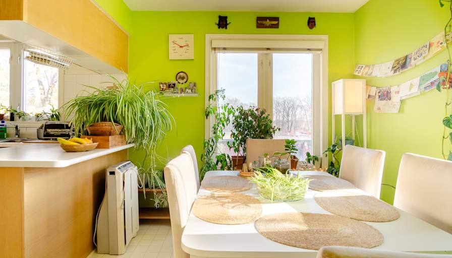 Khush's room