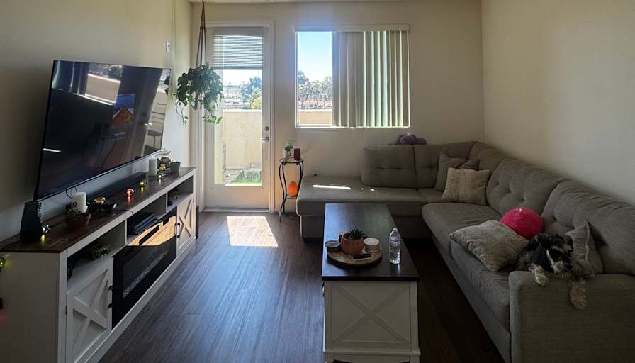 Cameron's room