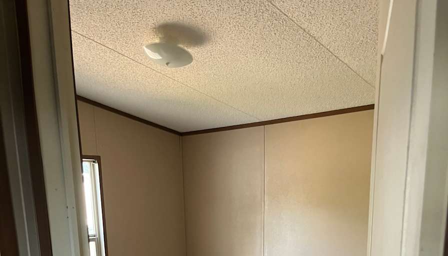Amy's room