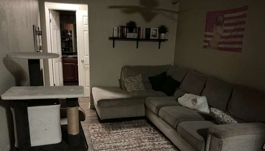 Kayneti's room