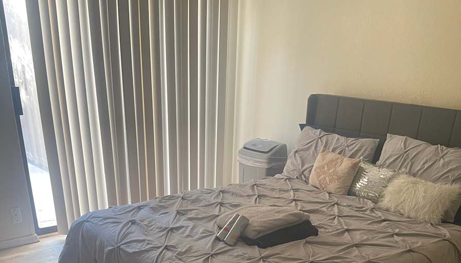 Mariam Sher's room