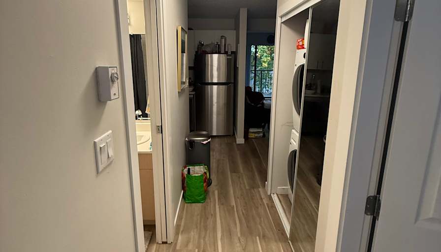 Nemo's room