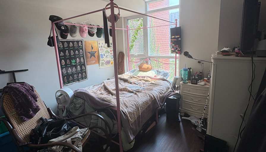 Vanesolie's room