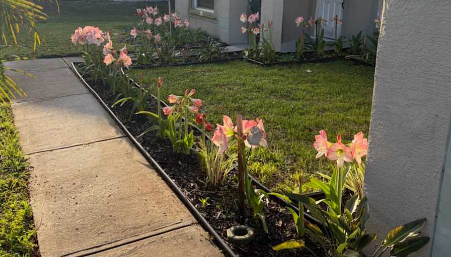 Toni  Ackler's room