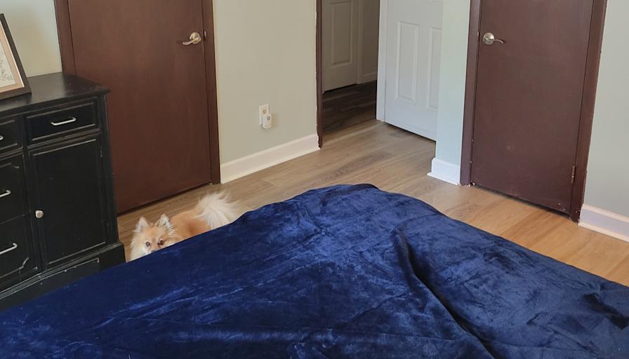 Thomas's room