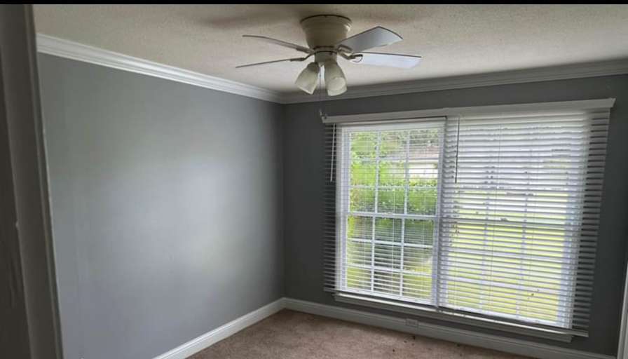 Jess's room