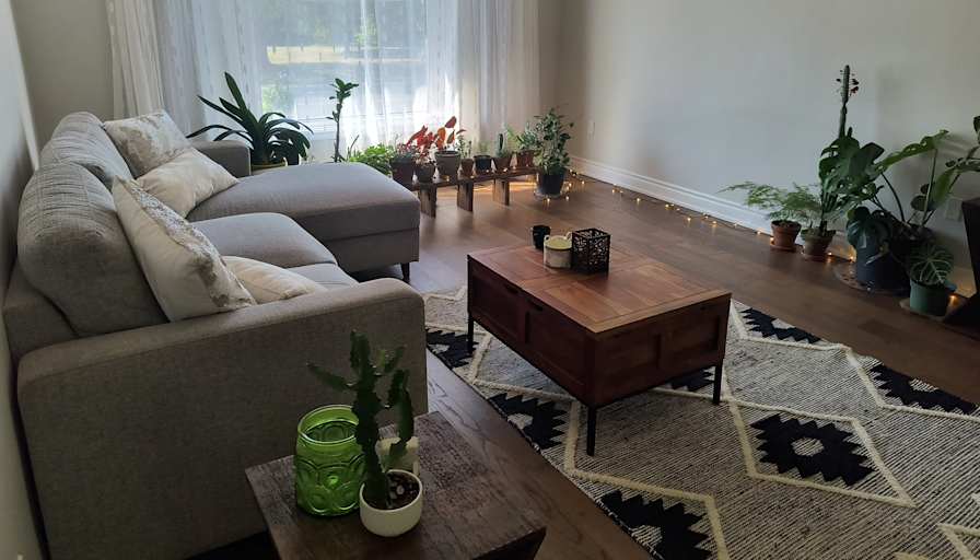 Goli's room