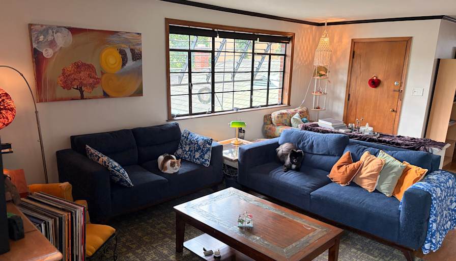 Houston's room