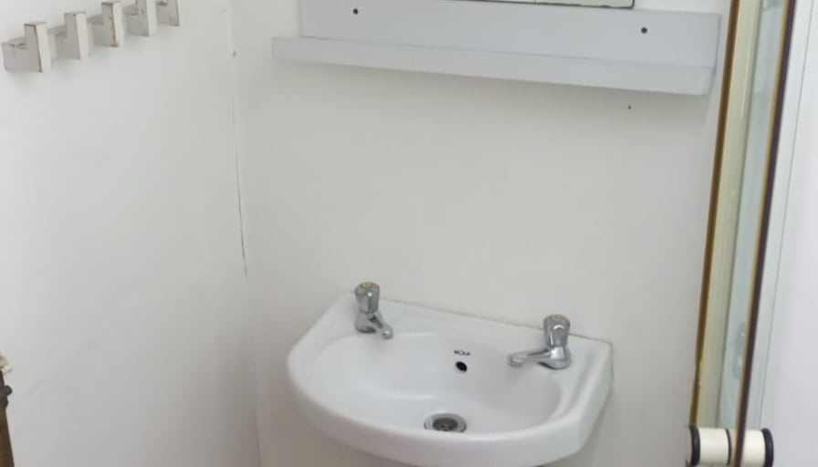 Willows on Bartlett's room