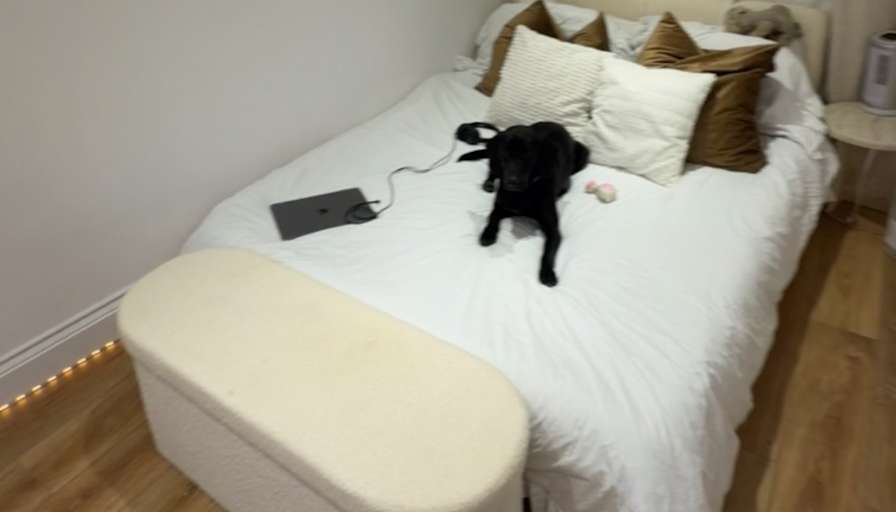 Roya's room