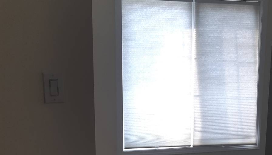 Shaheen's room