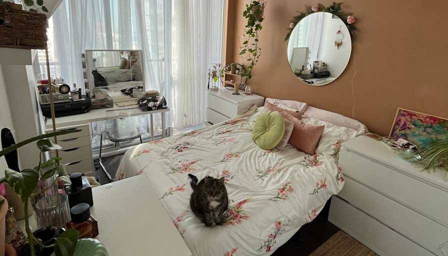 Anj's room
