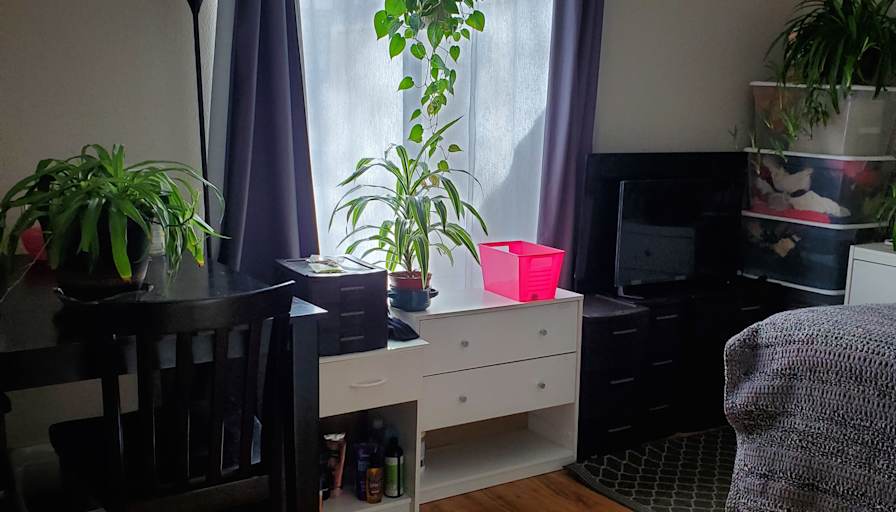 Cindi's room