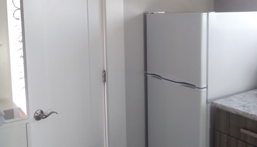 Aaron Zebrafish's room