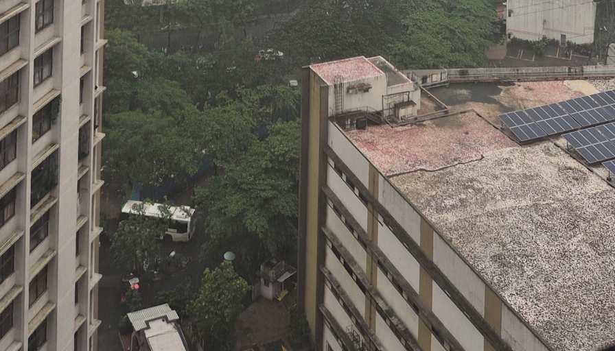 Yash Malusare's room