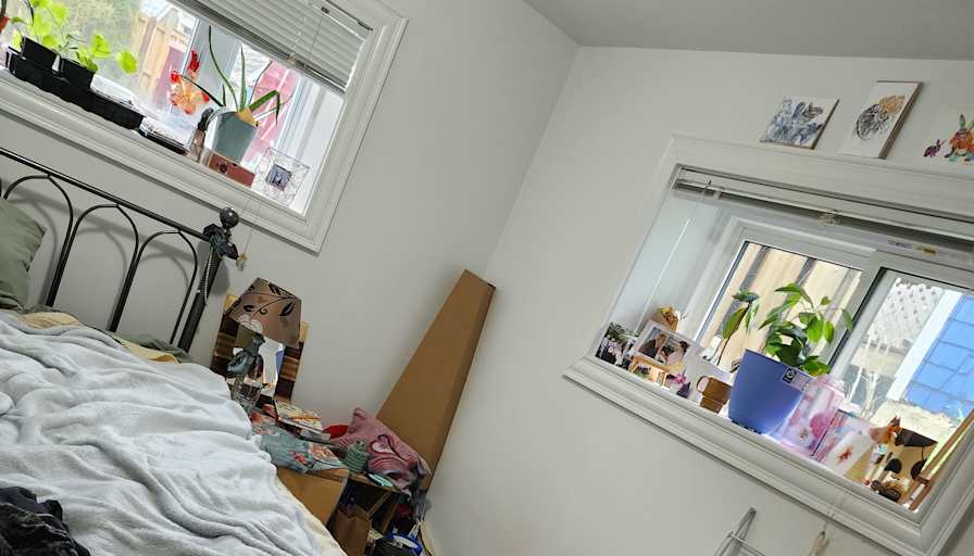 Amishi's room