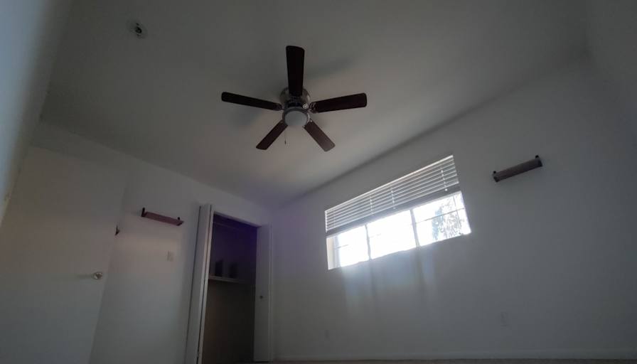 Sarah Jane Collier's room
