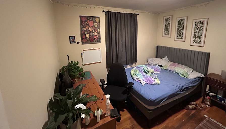 Ryan Mulcahy's room