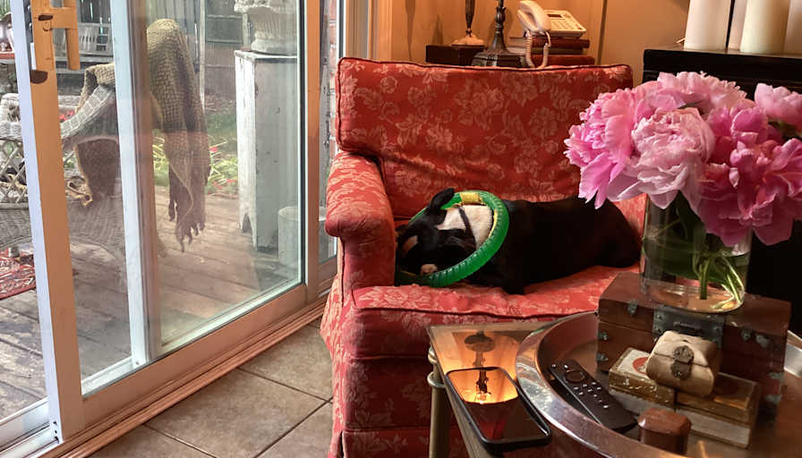 Jeffrey Pommer's room