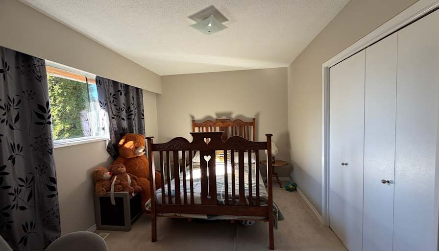 Neda salahi's room