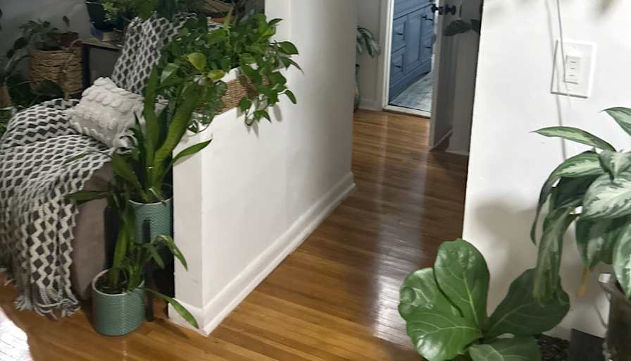 Jacklyn Stephens's room