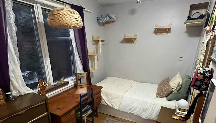 Saffron du Preez's room