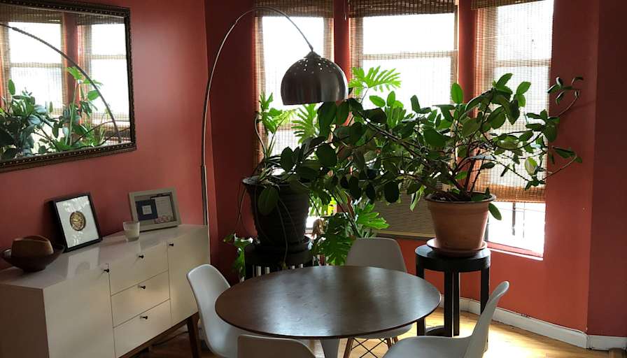 Summer's room