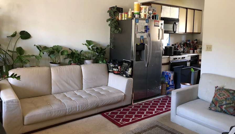 peter's room