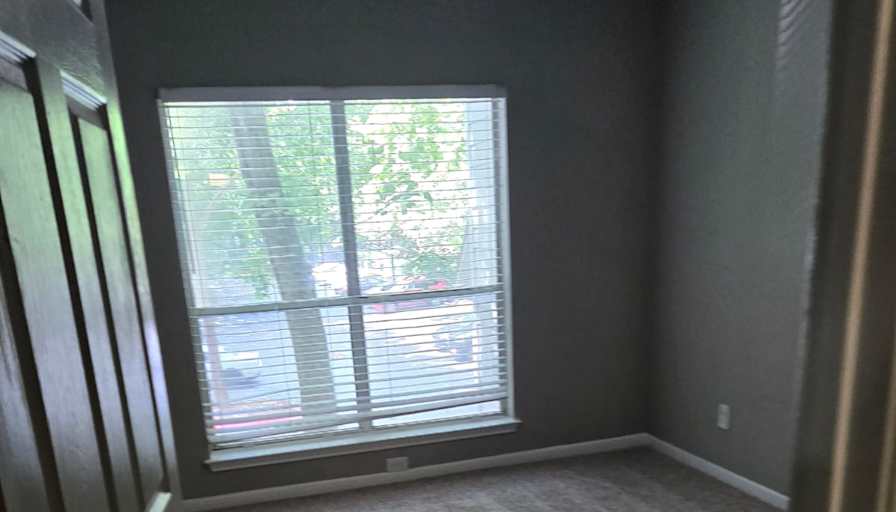 Rohit Chitale's room