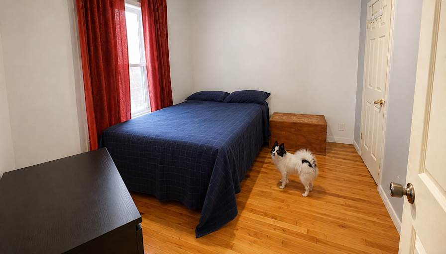 Alexandre's room