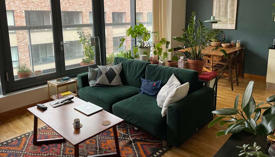 Jan's room
