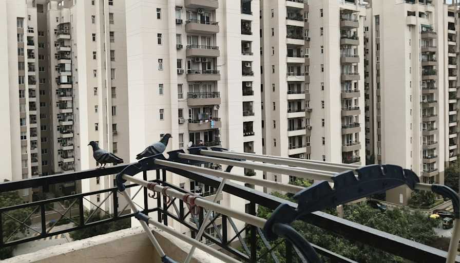 Divyanshi's room
