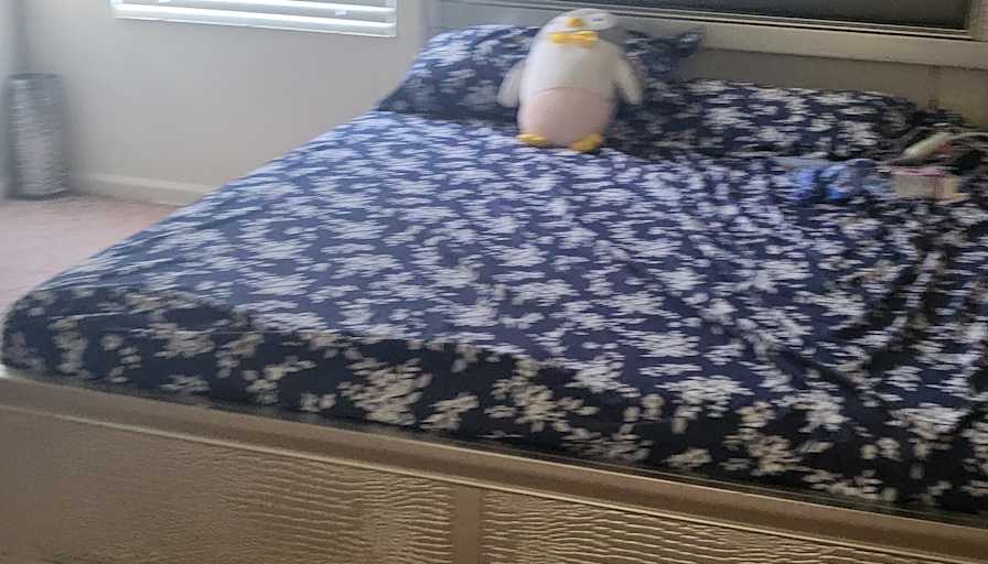TINA's room