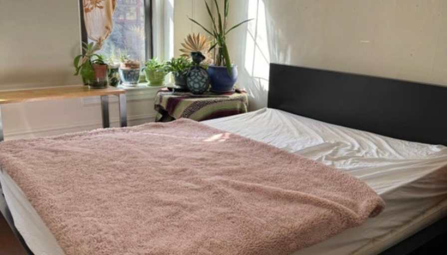Sheila's room