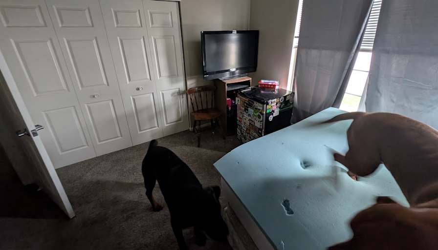 stephen's room