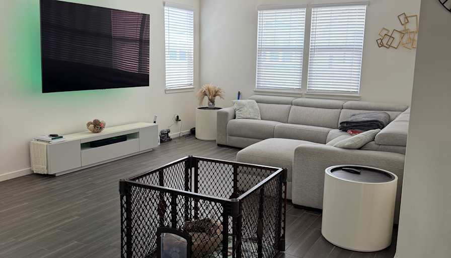 Mo's room