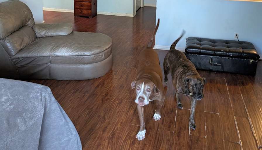 Jack and Jill's room
